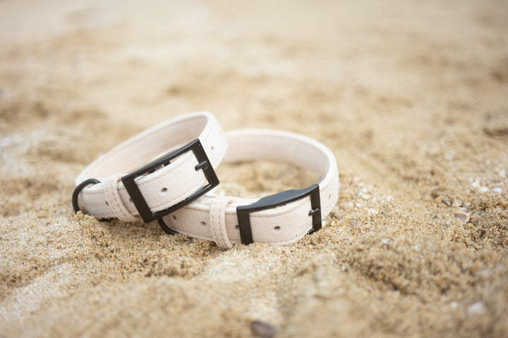 Ethical Leather Collar