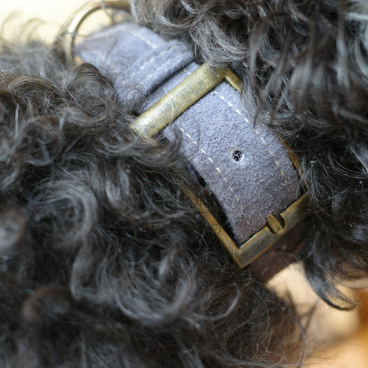 Ethical Leather Collar