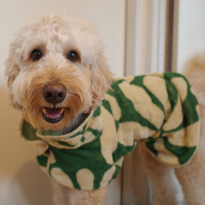 Dog Robe - Flower -