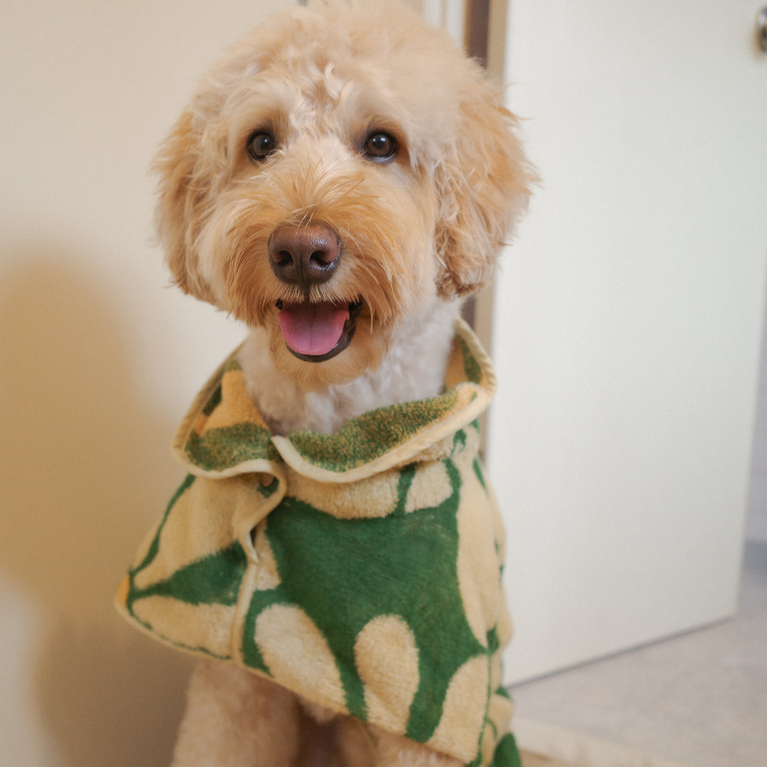 Dog Robe - Flower -