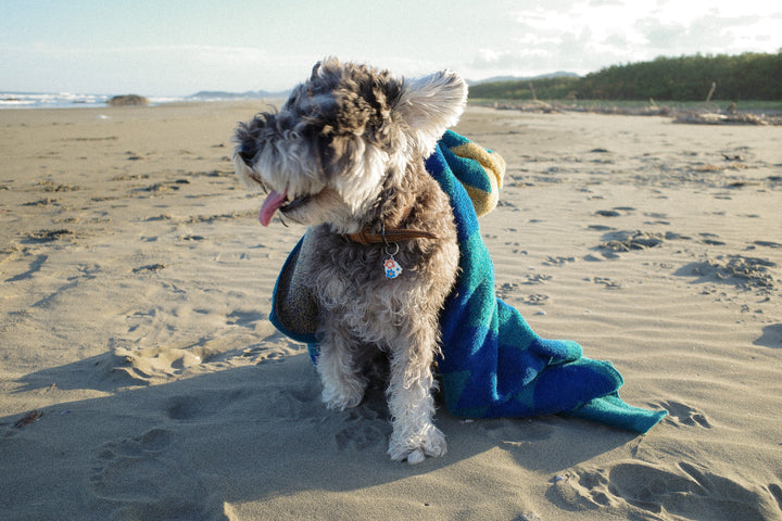 Beach Towel - Flower -