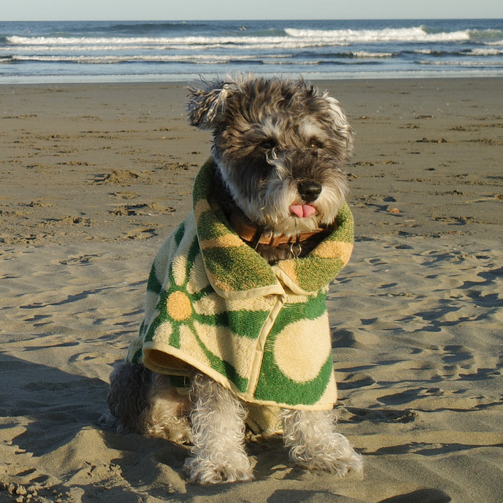 Dog Robe - Flower -