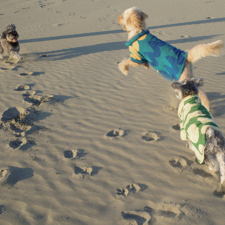 Dog Robe -Wave-