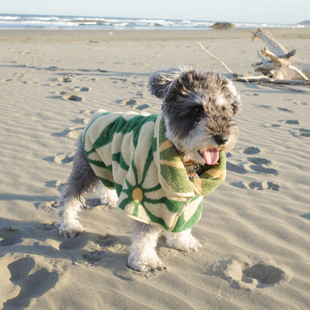 Dog Robe - Flower -