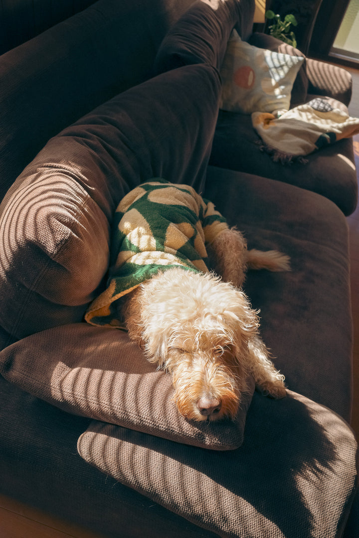 Dog Robe - Flower -