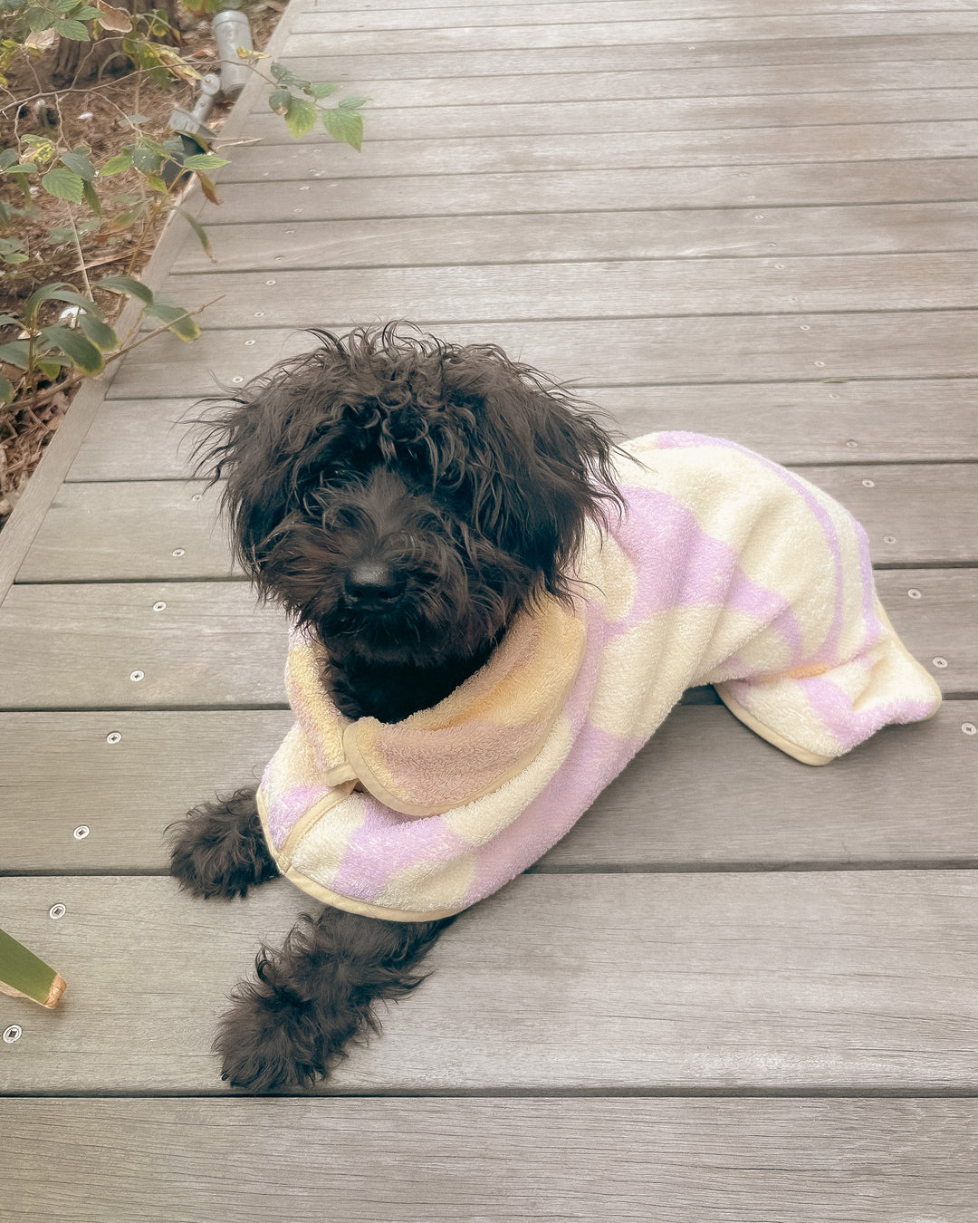 Dog Robe - Lavender Flower -