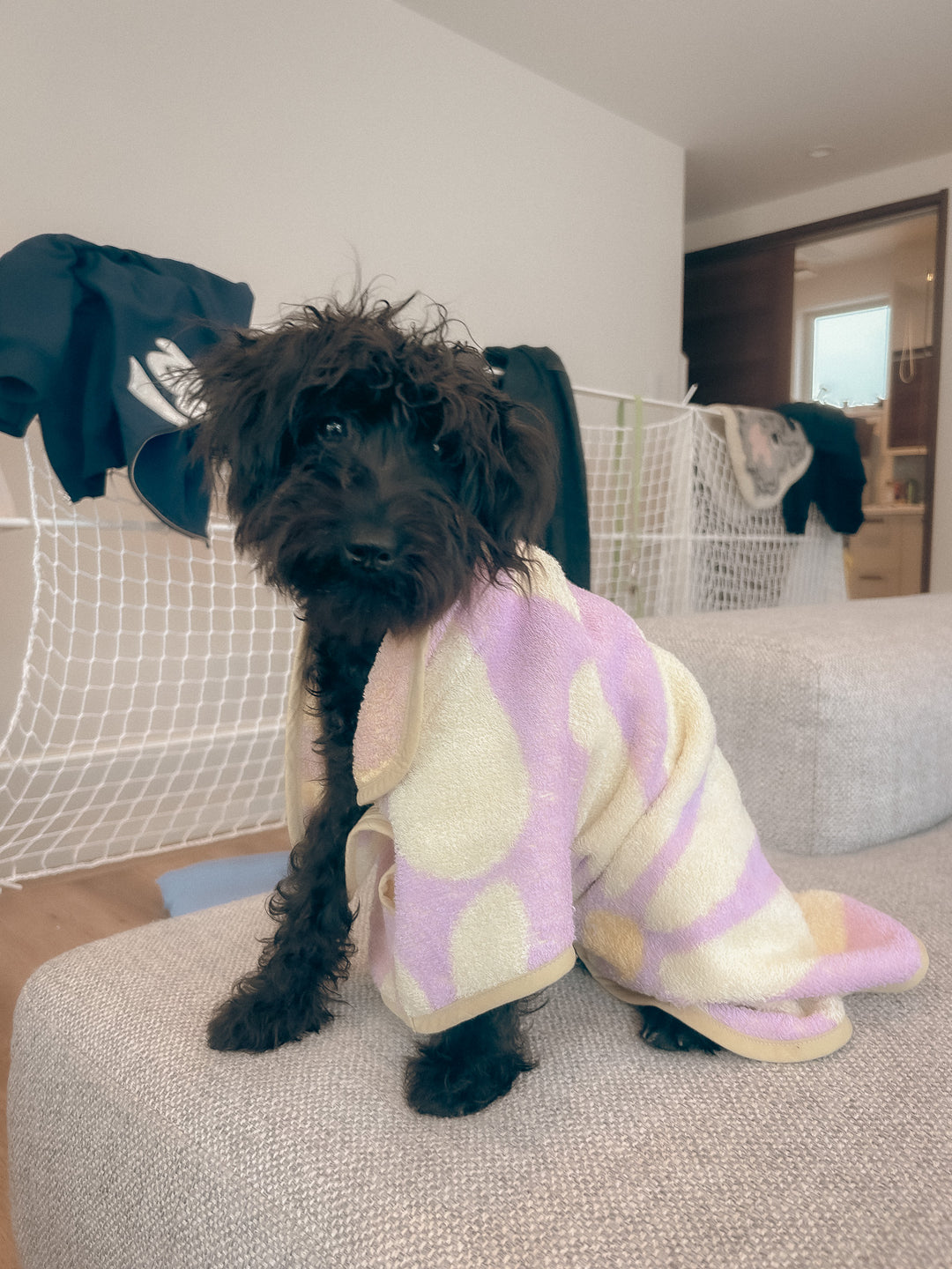 Dog Robe - Lavender Flower -