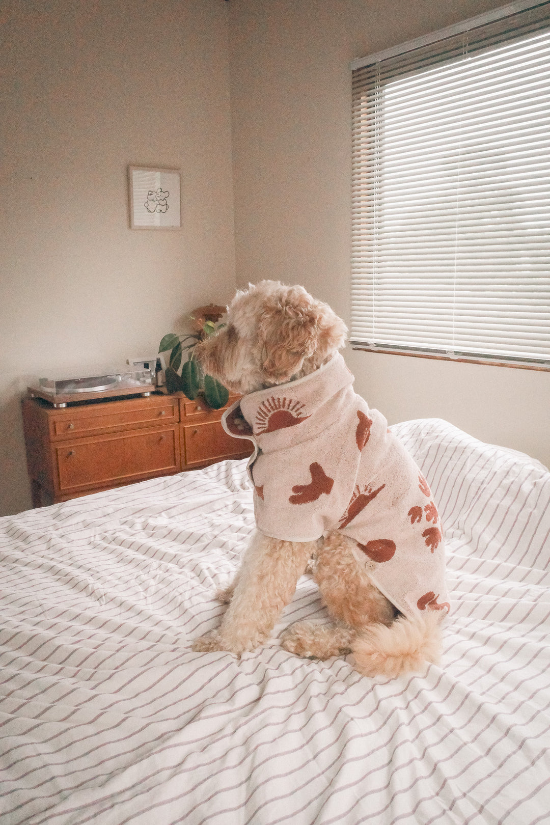 Dog Robe - POKOI-