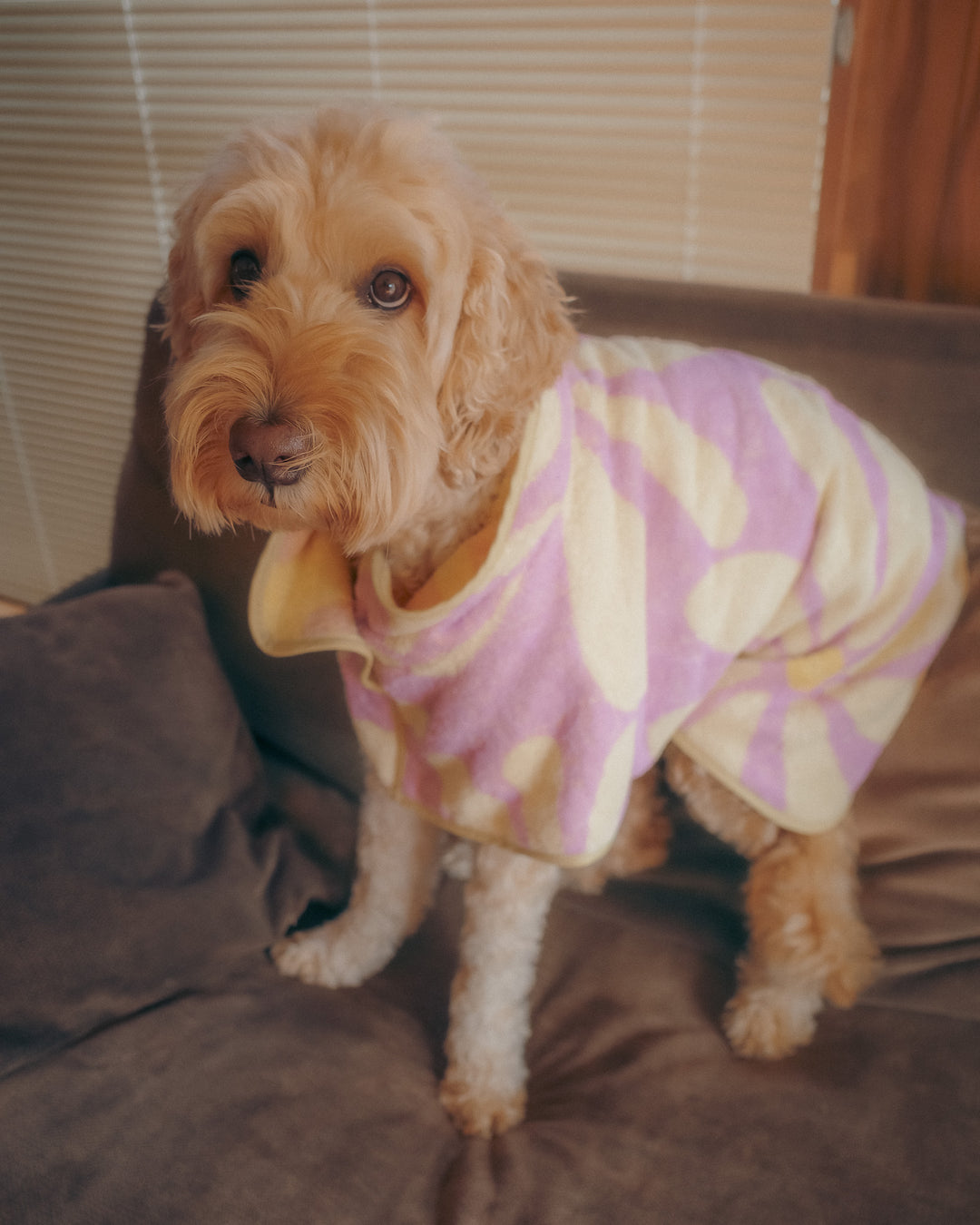 Dog Robe - Lavender Flower -