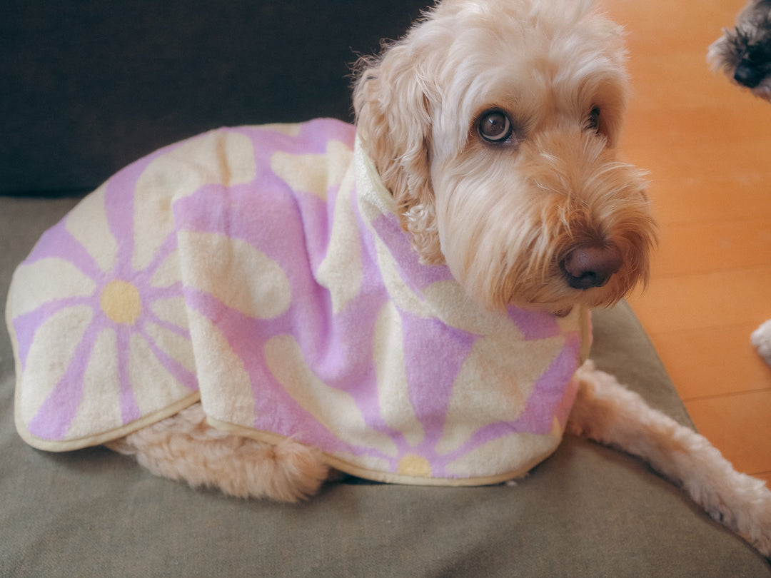 Dog Robe - Lavender Flower -