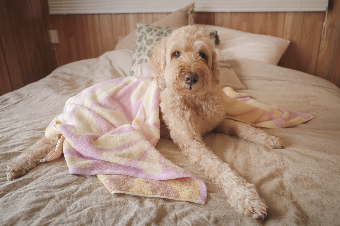 Beach Towel - Lavender Flower -
