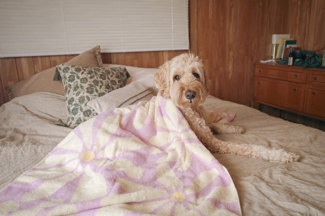 Beach Towel - Lavender Flower -