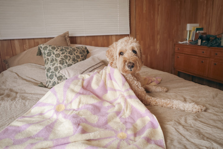 Beach Towel - Lavender Flower -