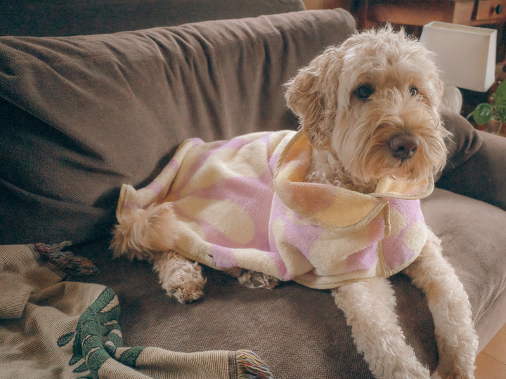 Dog Robe - Lavender Flower -