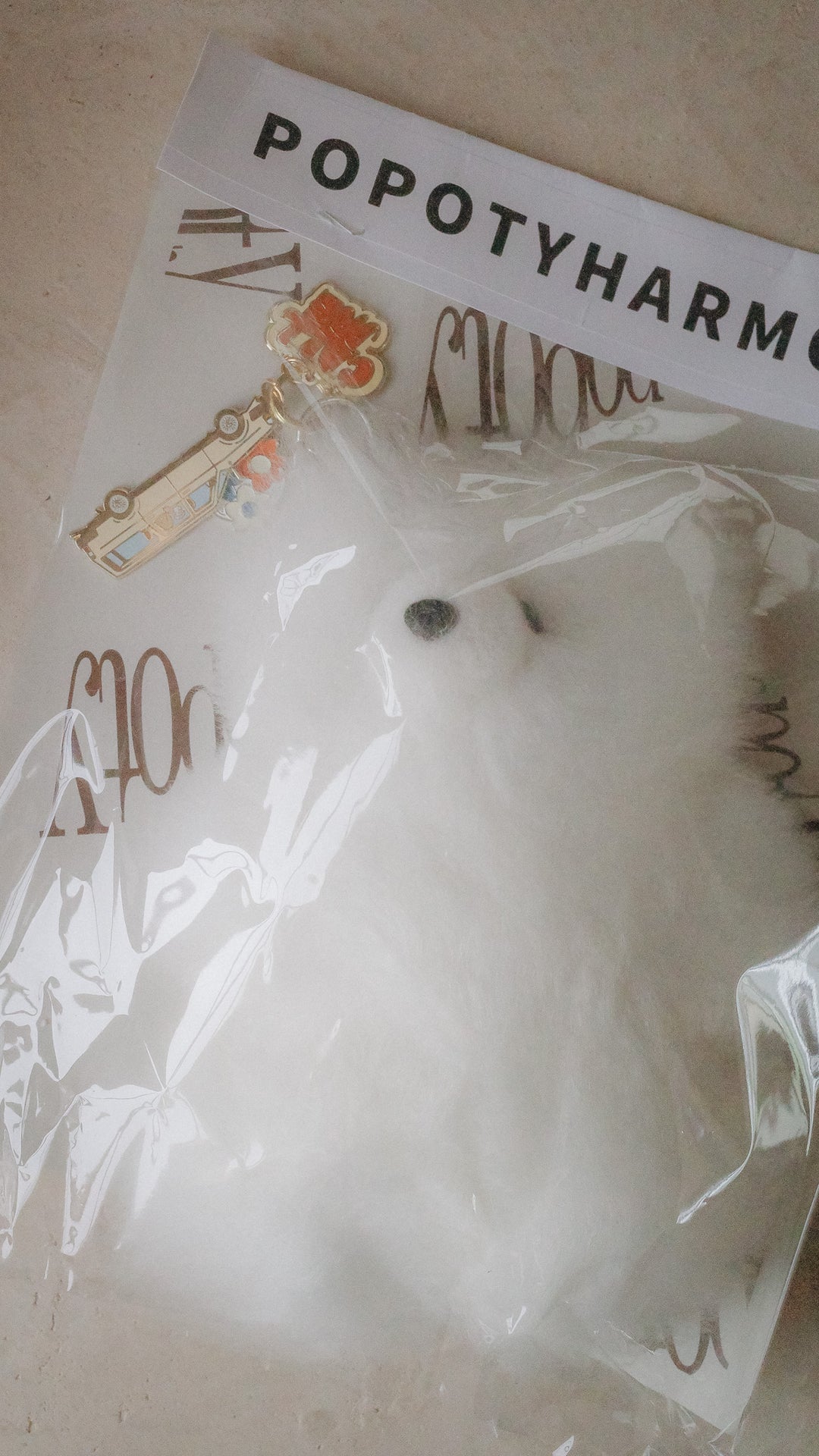 Popoty Fortune Key Charm