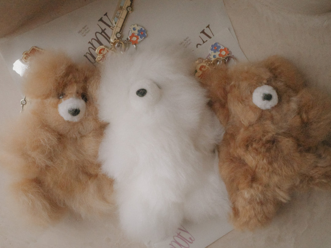 Popoty Fortune Key Charm